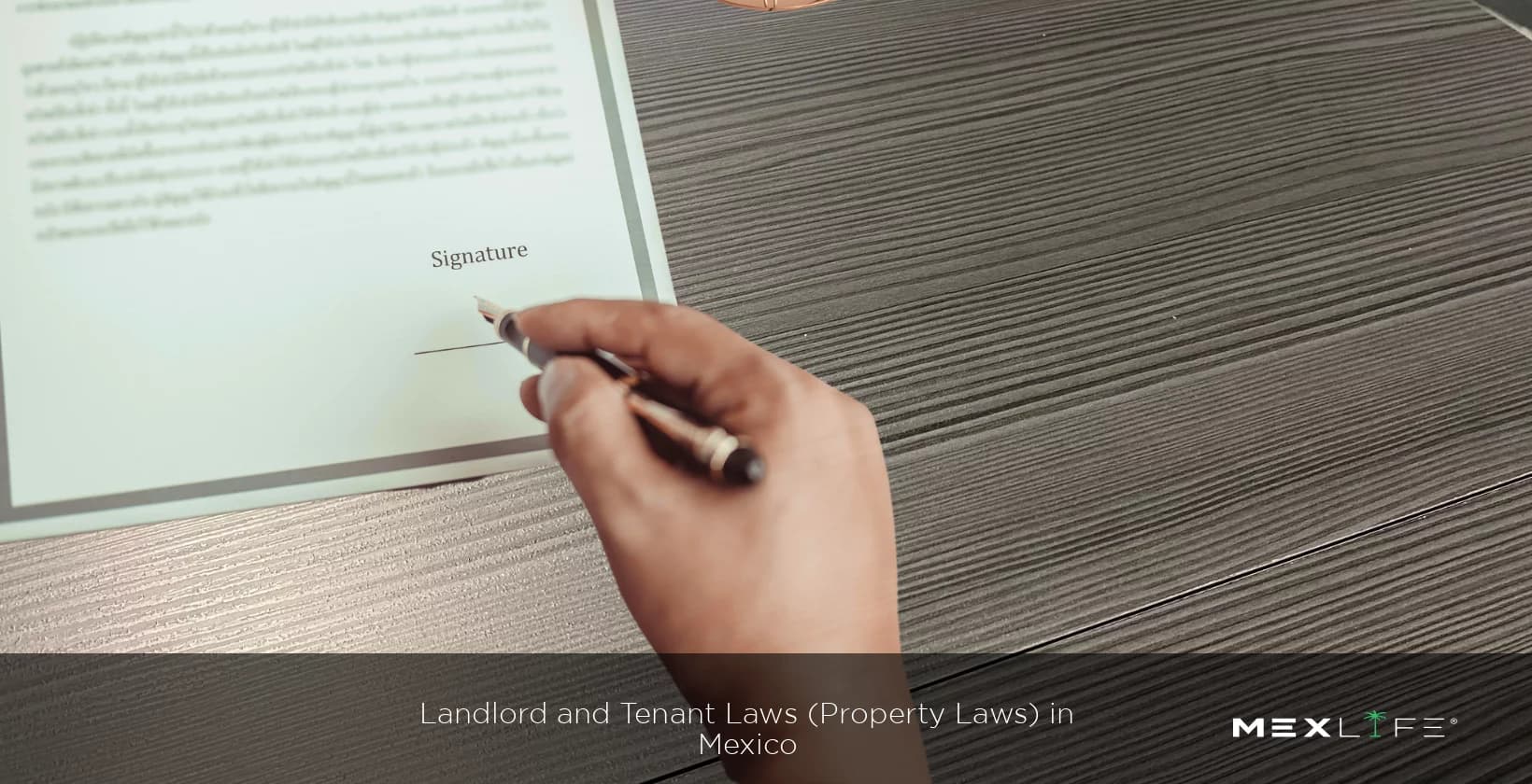 Landlord and Tenant Laws (Property Laws) in Mexico