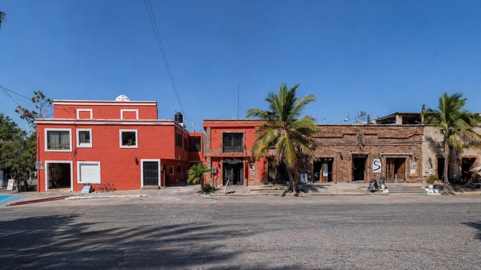Plaza Agave