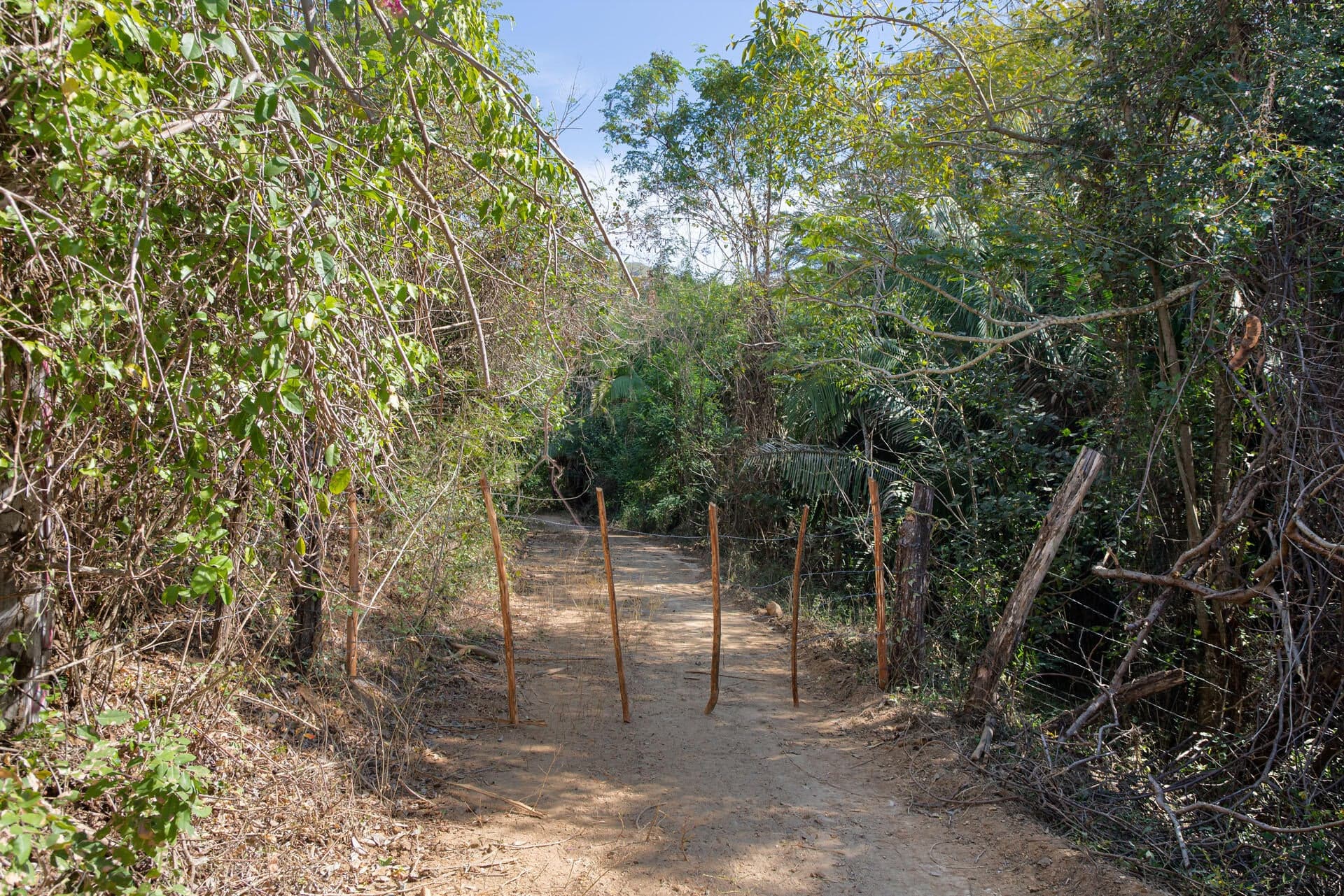 Miriba