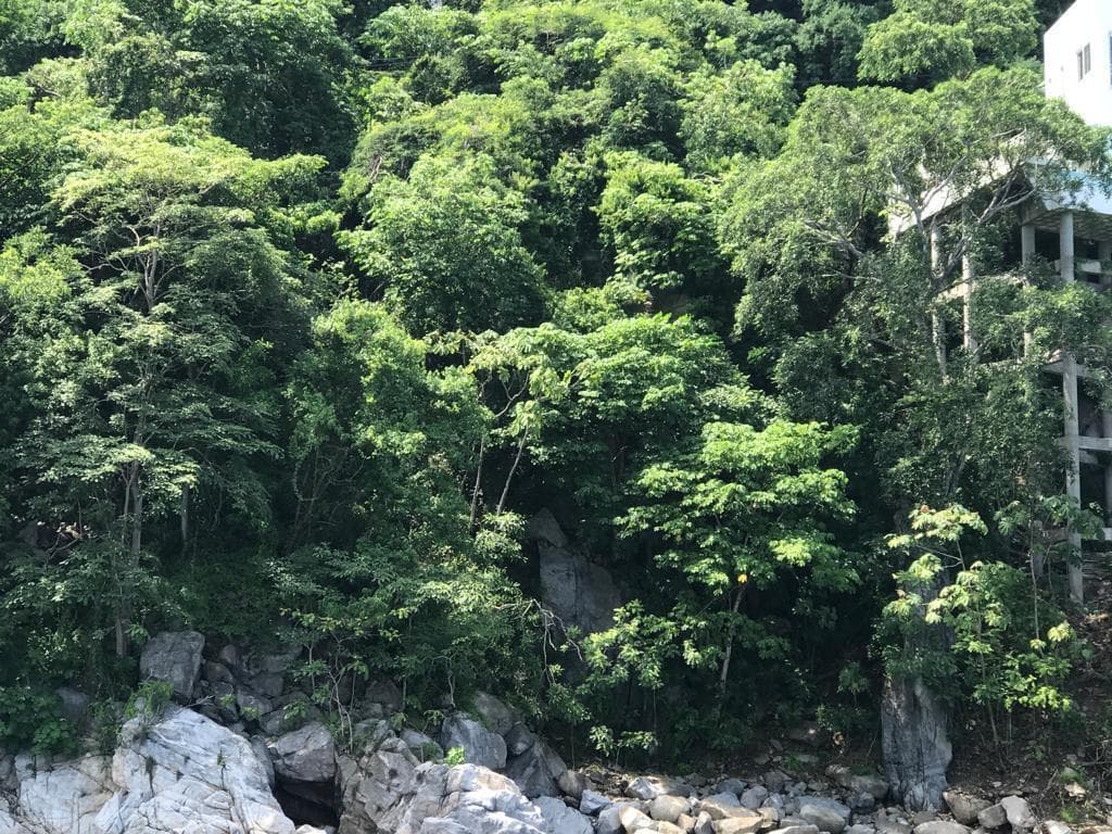 Lomas de Mismaloya