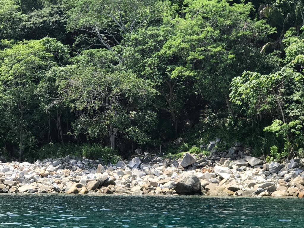 Lomas de Mismaloya