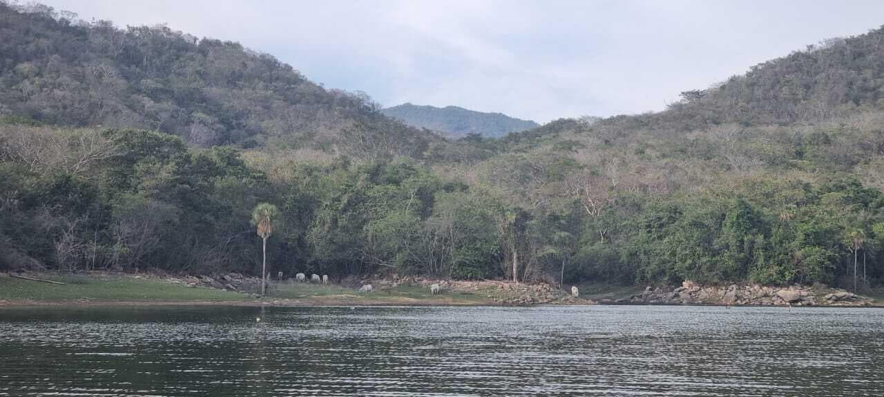LOTE PUNTA CAJON FRACCION C