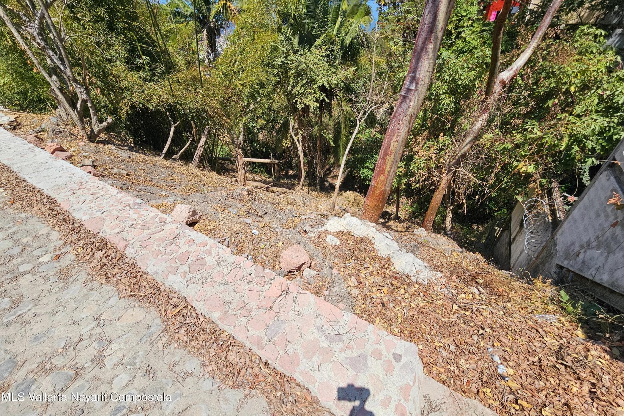 Bella Vista