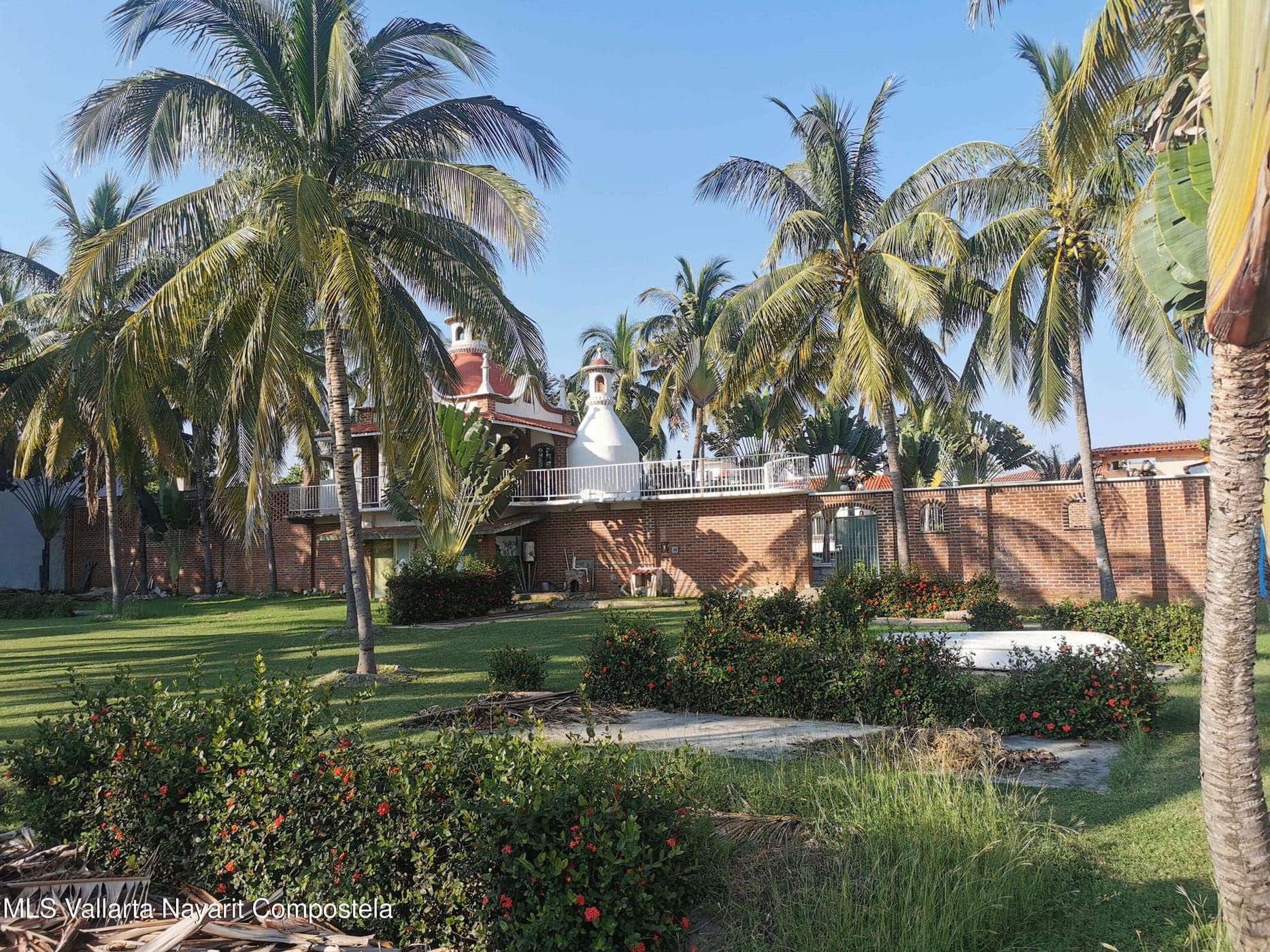 Lote Verano