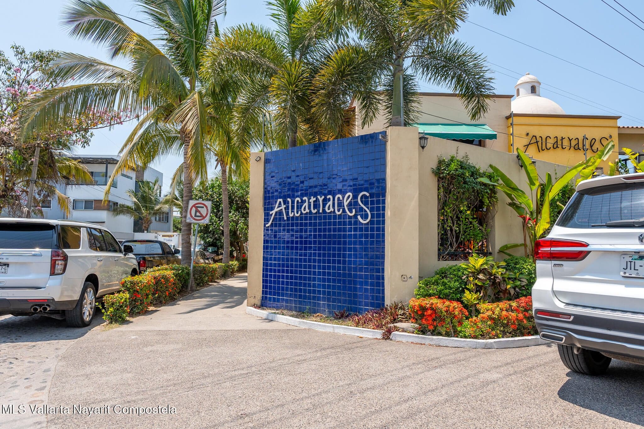 Alcatraces