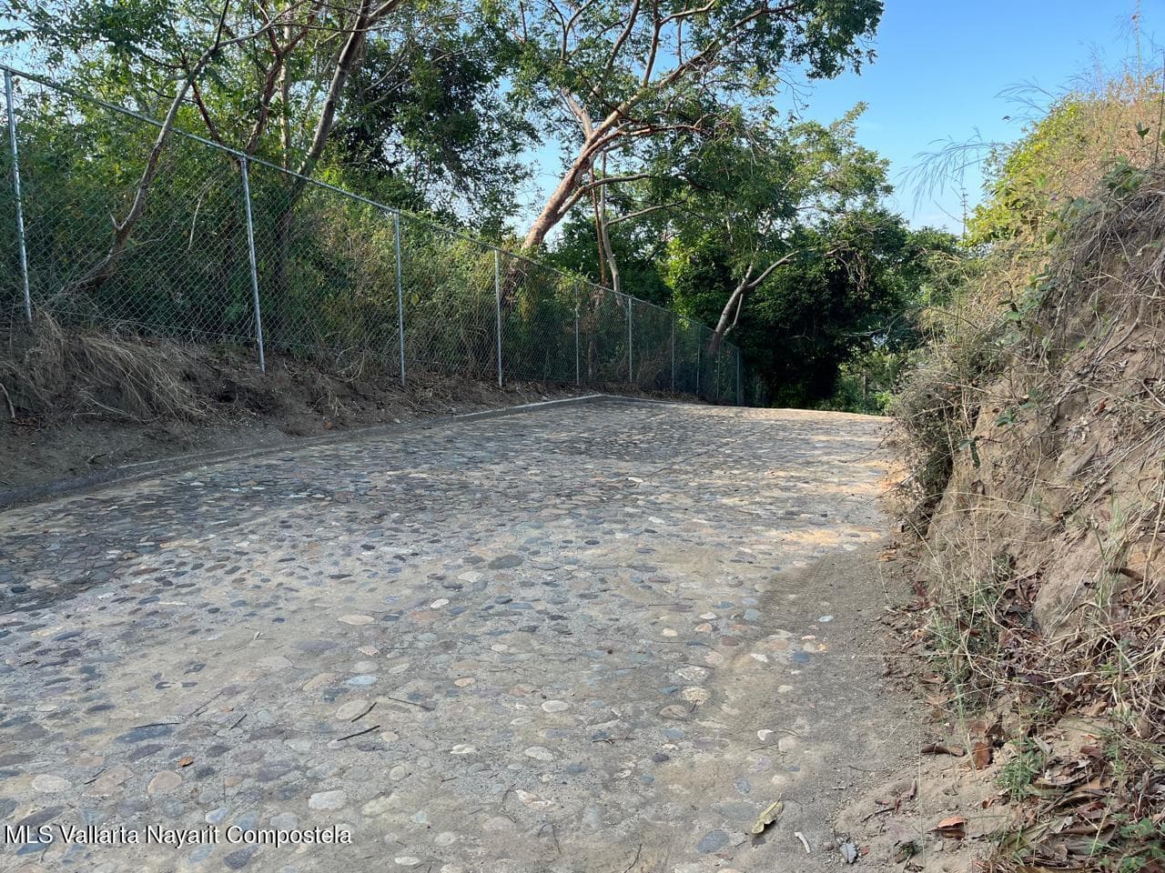 Selva Azul # Lote 18