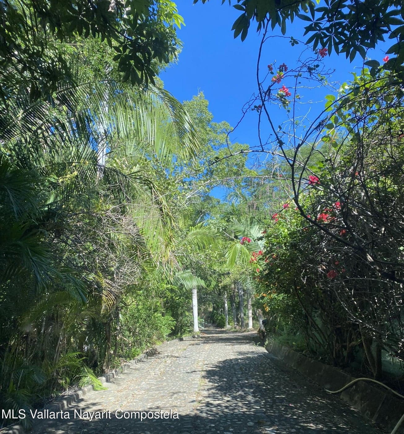 Rancho Vista Paraiso
