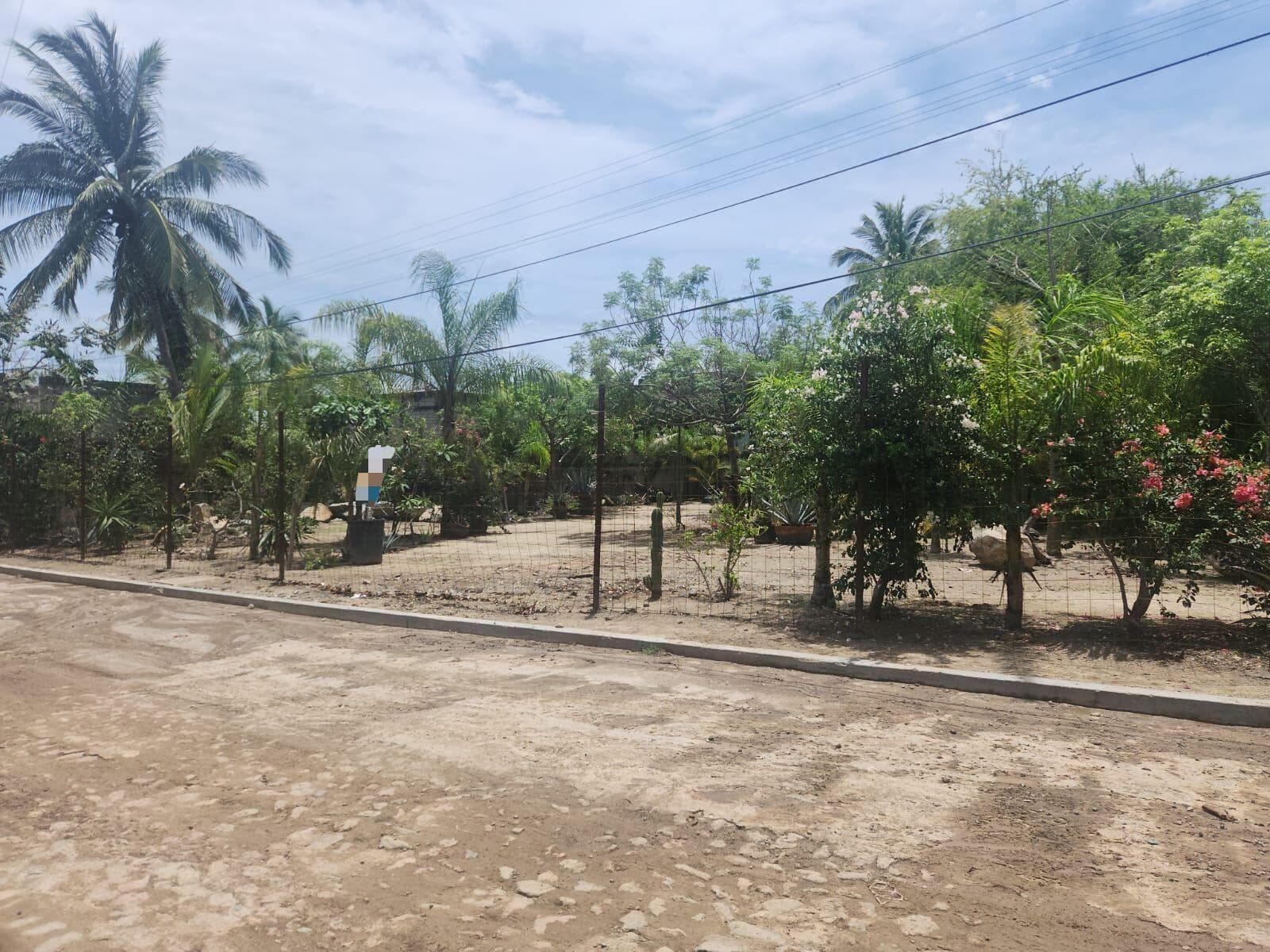 Terreno