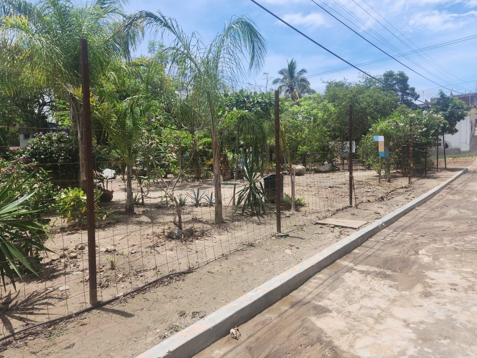 Terreno