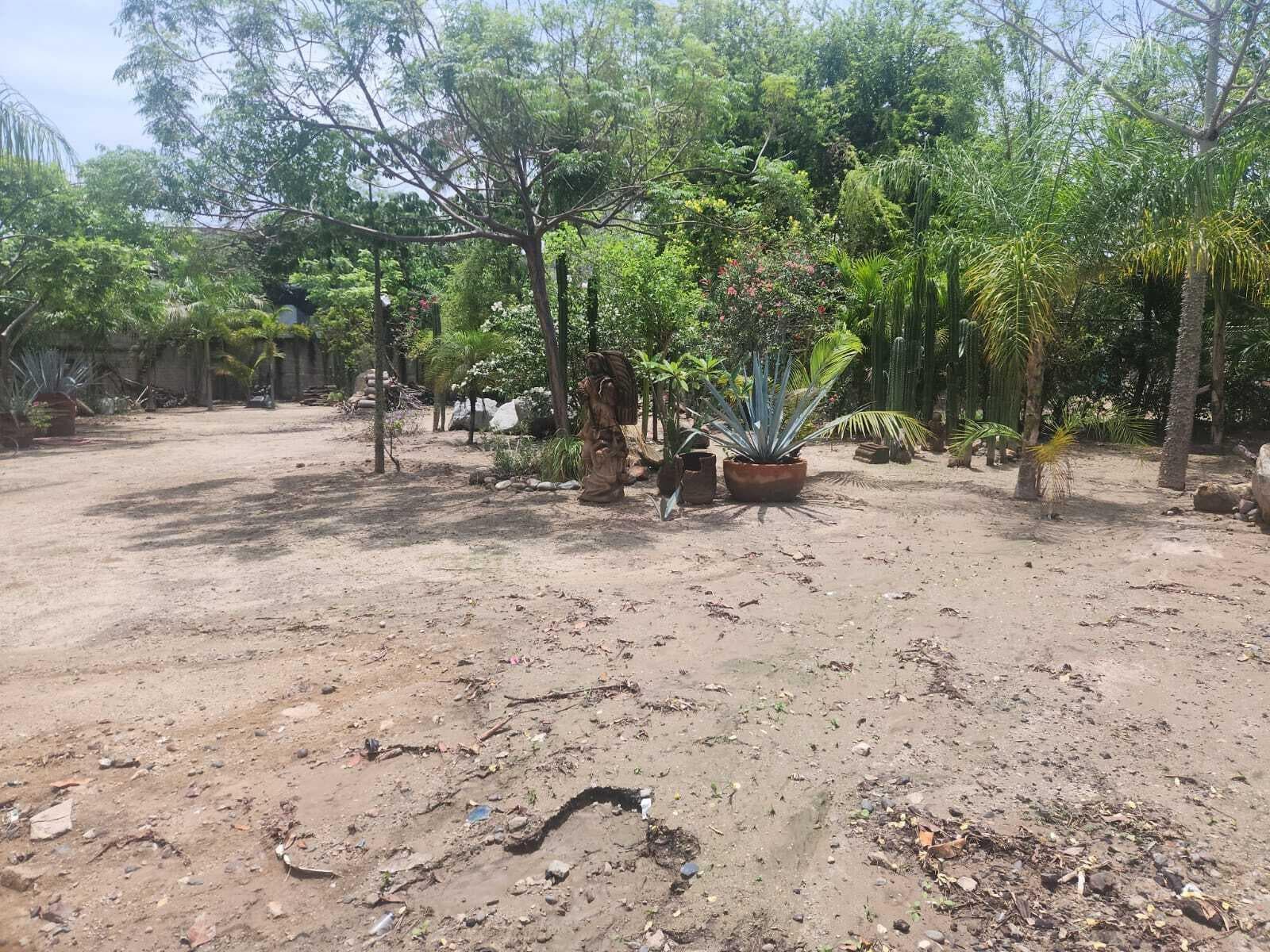 Terreno