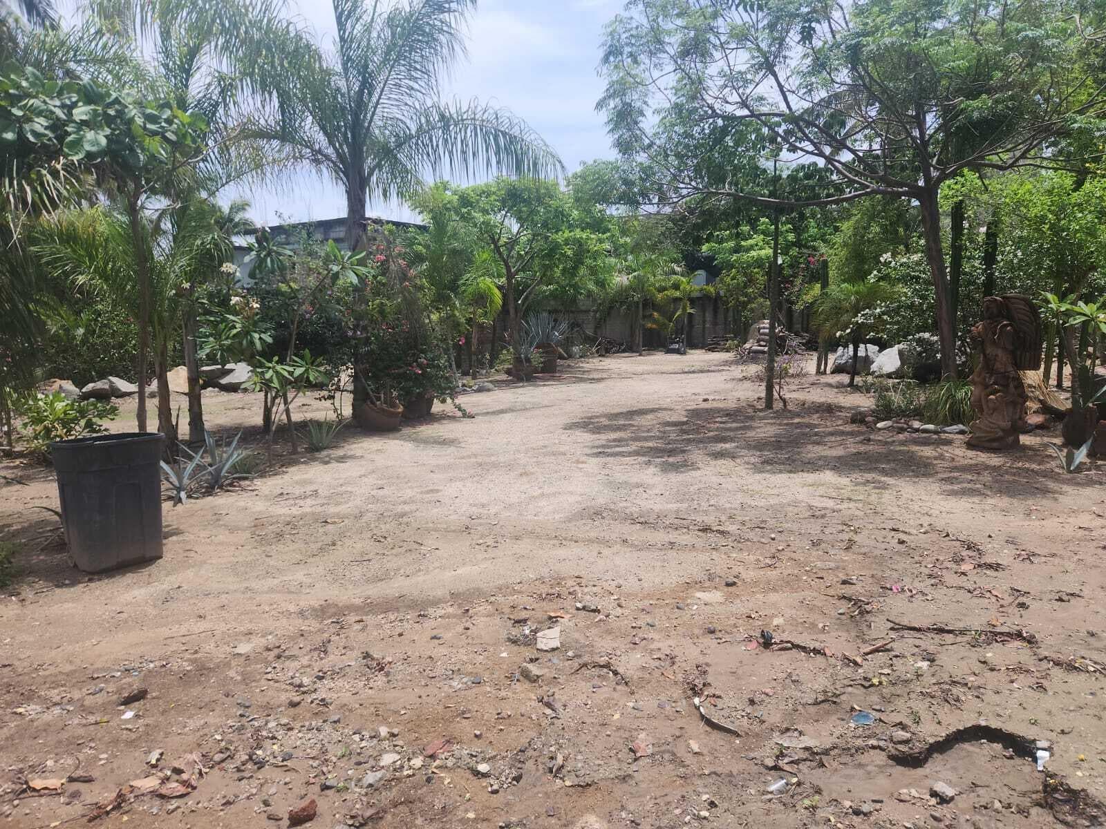 Terreno