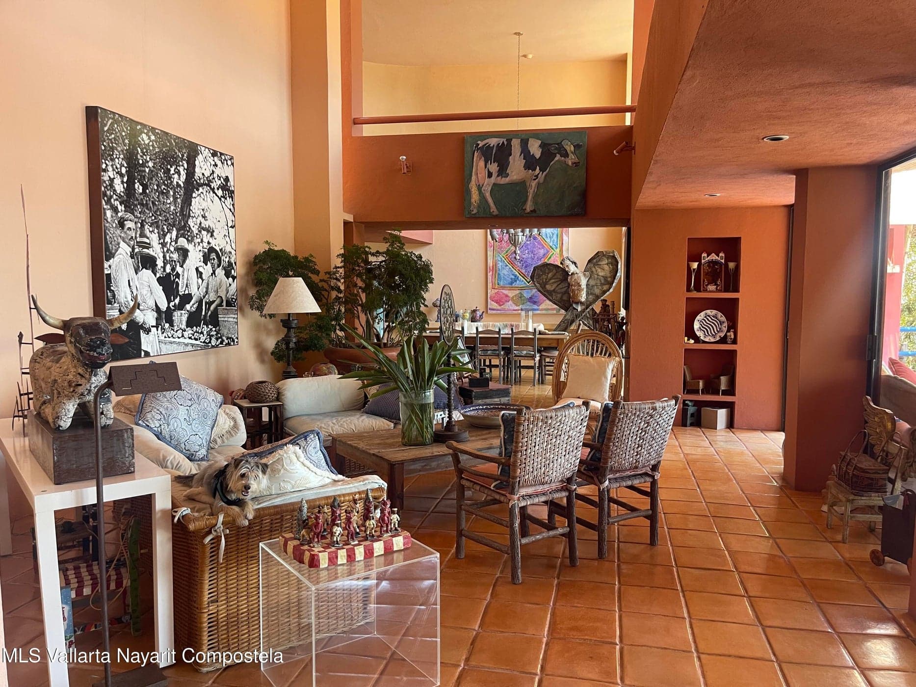 Villa Buena Vida
