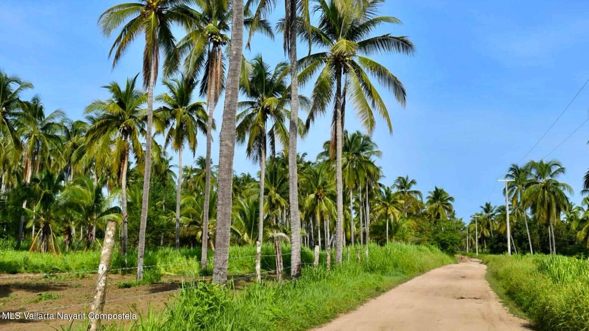 Lote Playa los Cocos