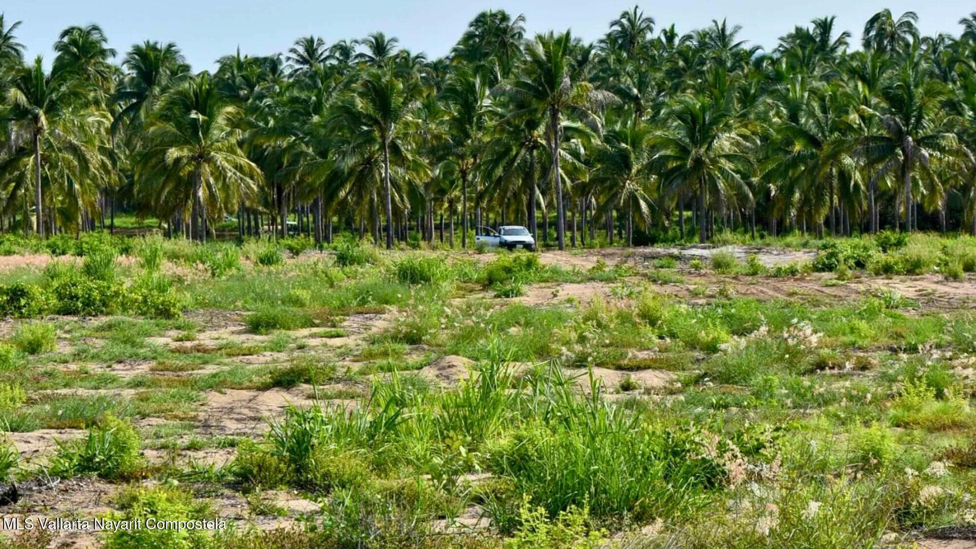 Lote Playa los Cocos
