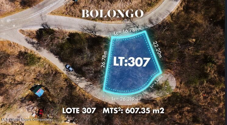 Lote 307
