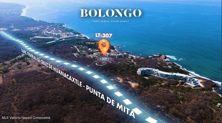 Lote 307