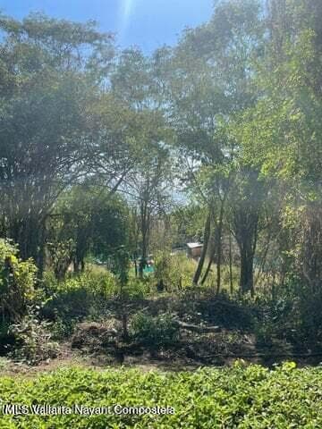 Lote 10 Punta Tortugas 10